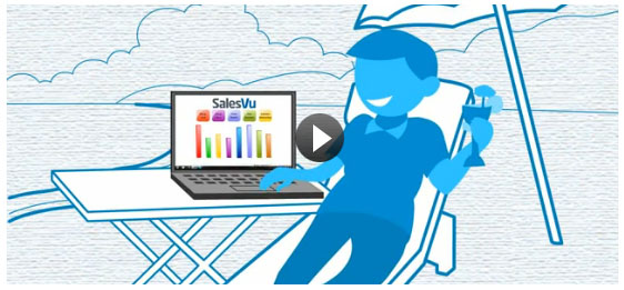 How doe SalesVu Work